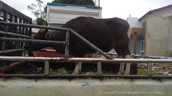 WhatsApp Image 2025 06 05 at 11.46.29 63e78d83