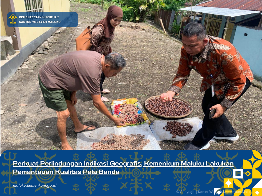 Perkuat_Perlindungan_Indikasi_Geografis_Kemenkum_Maluku_Lakukan_Pemantauan_Kualitas_Pala_Banda.png